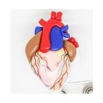 Porta ID Personalizado Corazón/Detalle