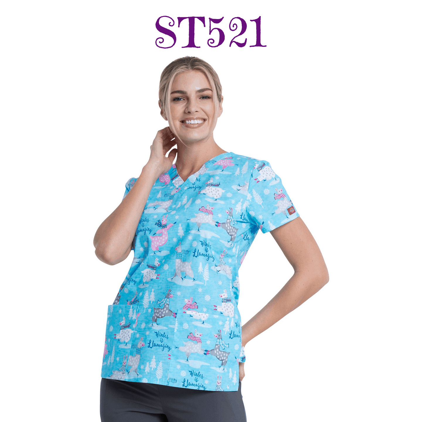 ST521.png Chaqueta DICKIES - M - Image 1